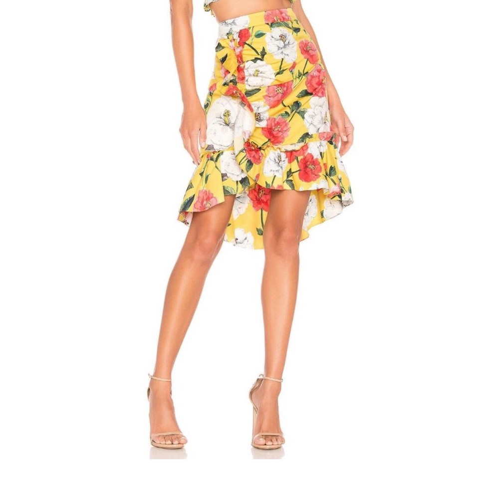 NWT Parker Wildflower skirt